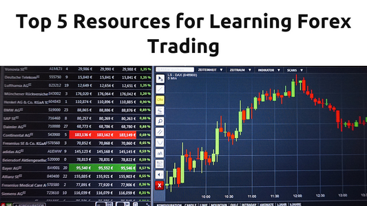 Understanding the Basics of Forex Trading