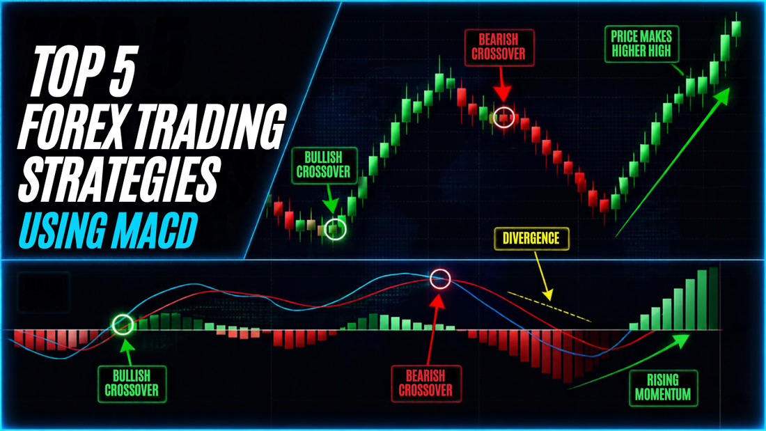 Top 5 Forex Trading Strategies Using MACD